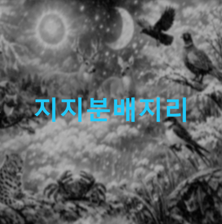  [명리기초]地支分配地理(지지분배지리) 12지지가 나타내는 뜻은?