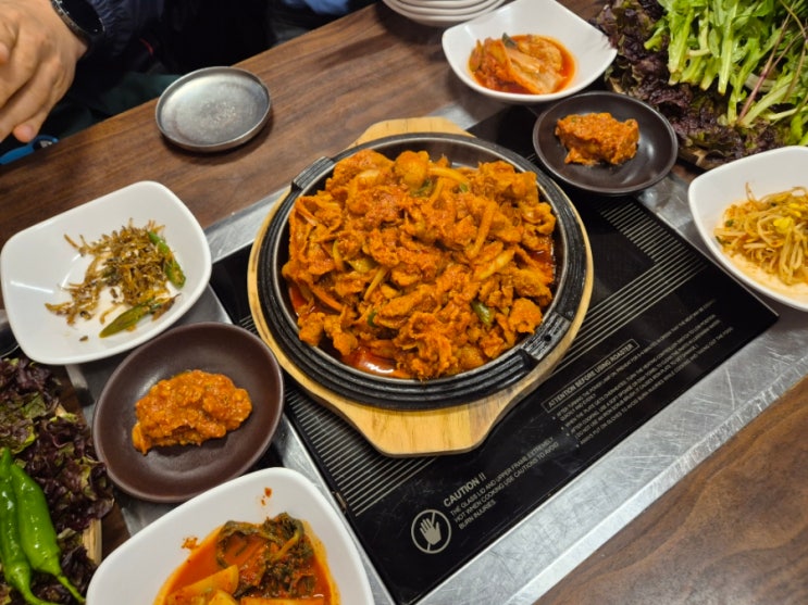  광화문 황금정 쌈밥정식 맛집