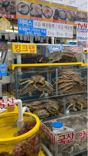  가락시장역 횟집 바가지 없는 가락몰은하수산 대광어 후기! 인어교주해적단 찐맛집