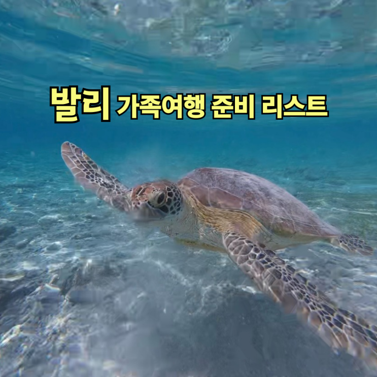  발리 가족여행 계획 공유 - 숙박, 투어, 예산, 와하나 보트
