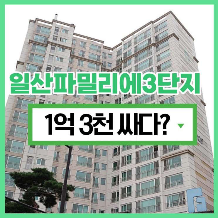  덕이동 하이파크시티, 일산아파트경매면 이 곳?