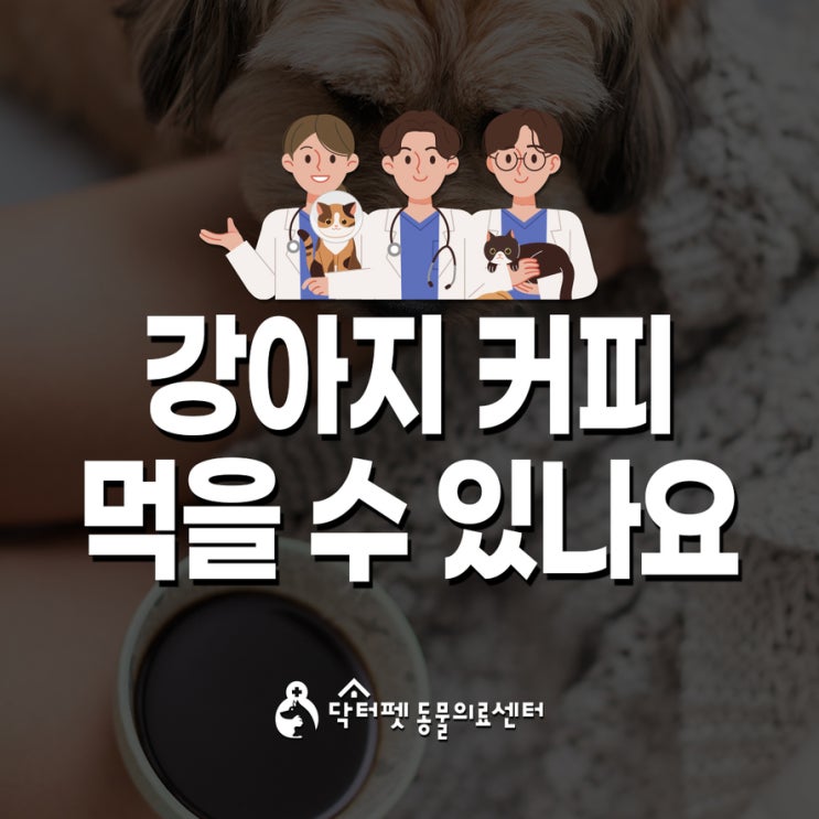  강아지에게 커피란?카페인 중독 응급 부산 24시 동물병원