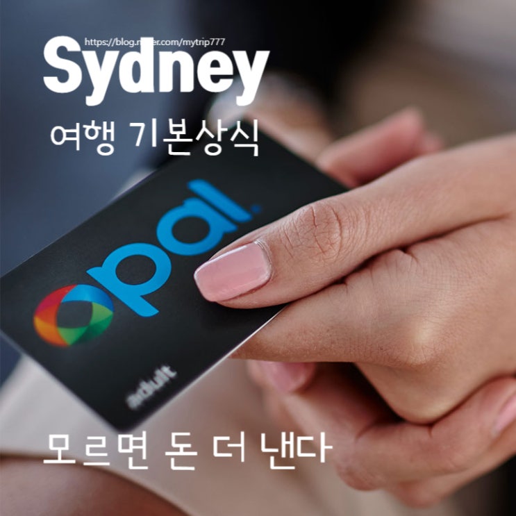  호주 자유여행 교통카드 정답은 오팔카드｜아이·부모님 동반까지 구매처/사용법 완벽 정리 (시드니 필수)