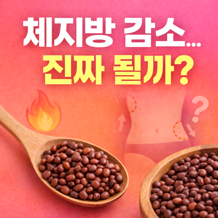  파라다이스 그레인 효능 5가지, 체지방 감소 진짜 효과 있을까?