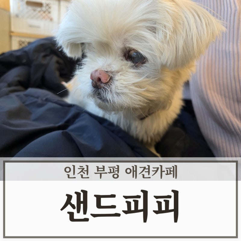 사진 5