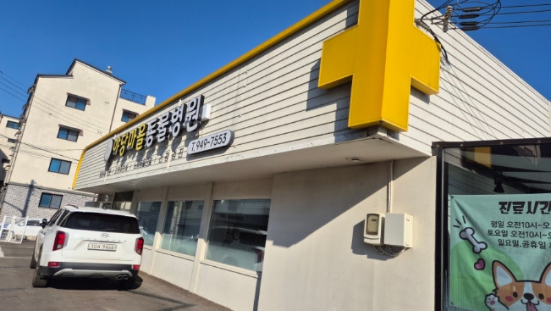 야당역 동물병원 고양이 동물병원 친절 깔끔 예민 냥이 위한 배려심 굿!!추천!! 《야당마을동....