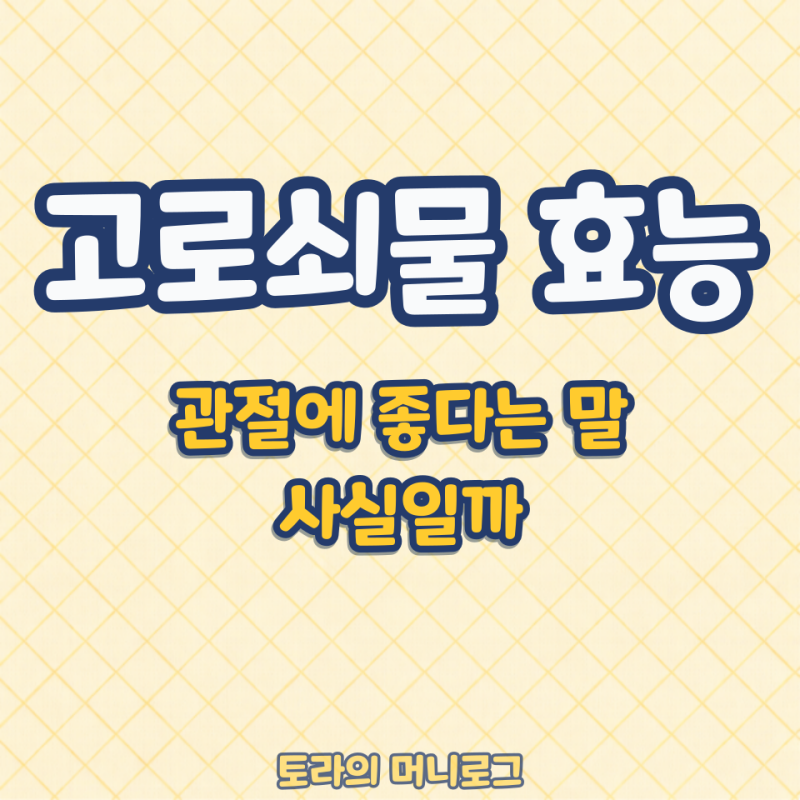 처음 마셔본 고로쇠물 효능, 봄 피로에 진짜 도움 될까?