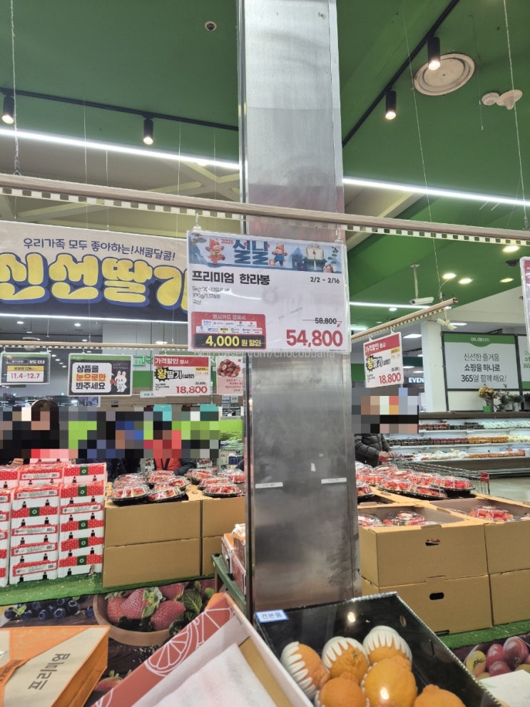  양재하나로 설맞이쇼핑 발렌타인데이 초콜렛 두쫀쿠