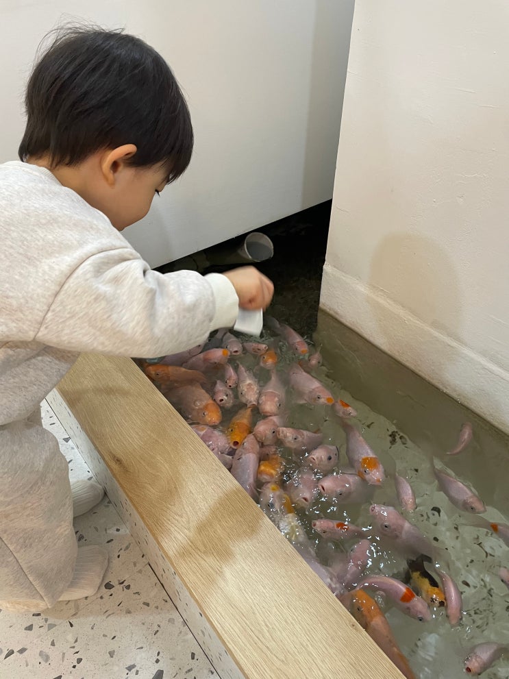  부산 명지 키즈카페 추천 아쿠아플레이하우스 주말 이용 후기