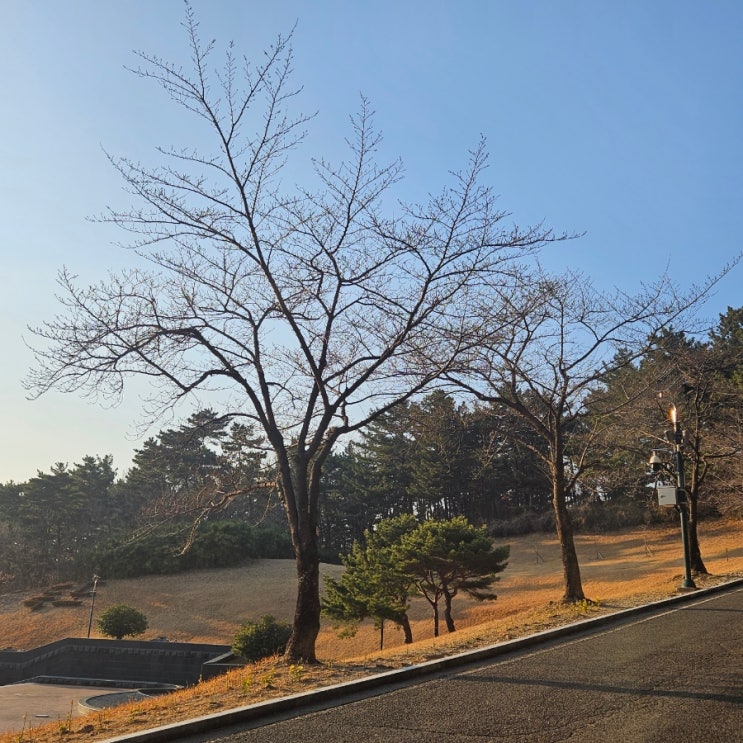  오늘일상 기자단연락? 외국인친구피부과 금액확인하기 포텐자로 결정