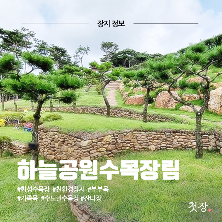  화성하늘공원수목장림 비용, 가격, 위치 알아보기 [첫장]