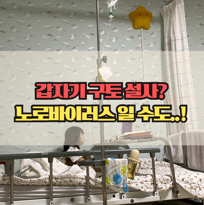  노로바이러스 증상 총정리, 갑자기 구토 설사한다면 의심