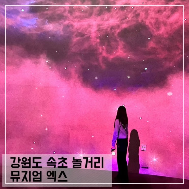  속초 가볼만한 곳 뮤지엄 엑스 속초 놀거리 추천