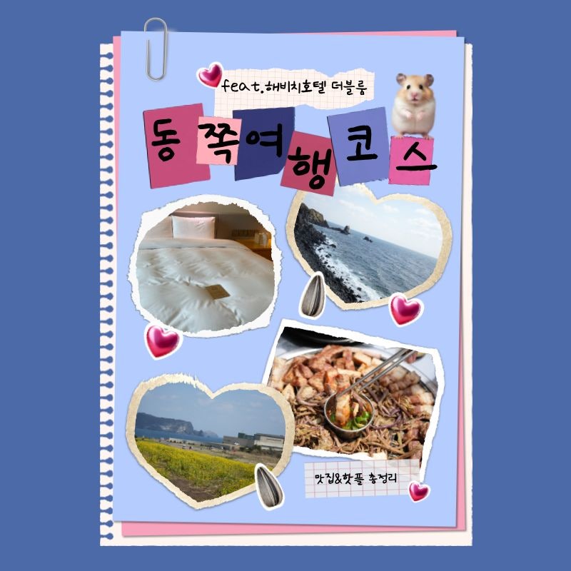 사진 5