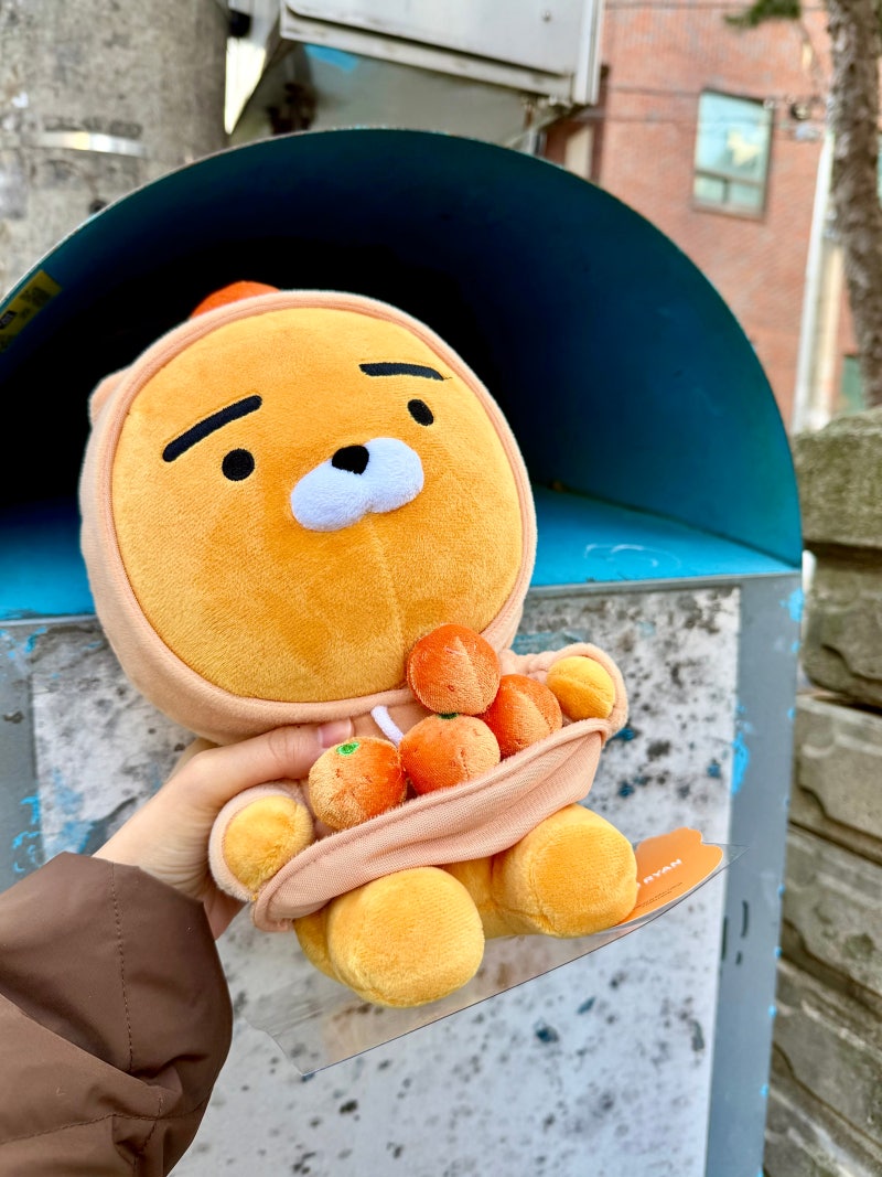 인형 버리는법 헌옷수거함 종량제 봉투 유형별 총정리