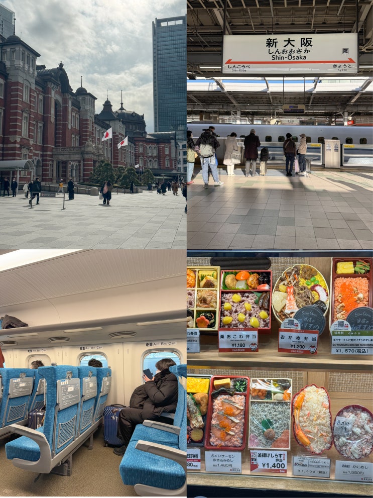  오사카에서 도쿄 가는법 일본 신칸센 예약 속도 가격 도시락 지정석 후지산 후기