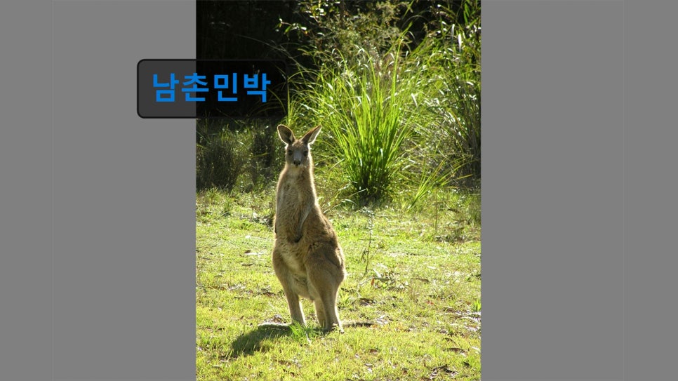 Namchonminbak photo 4