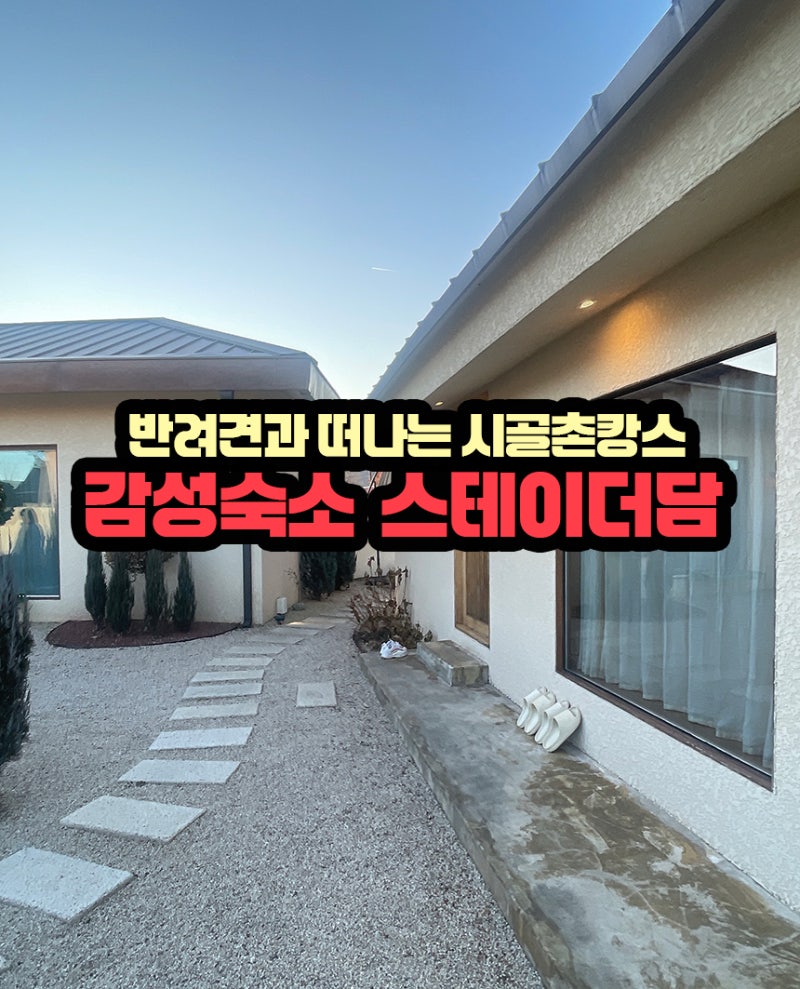 사진 2