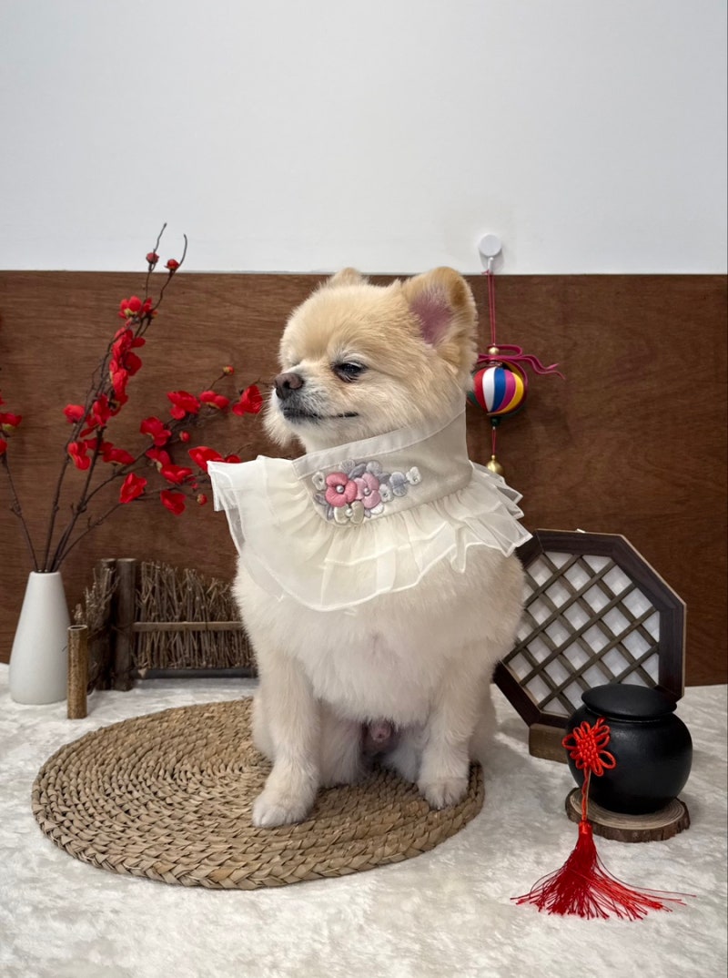 사진 5