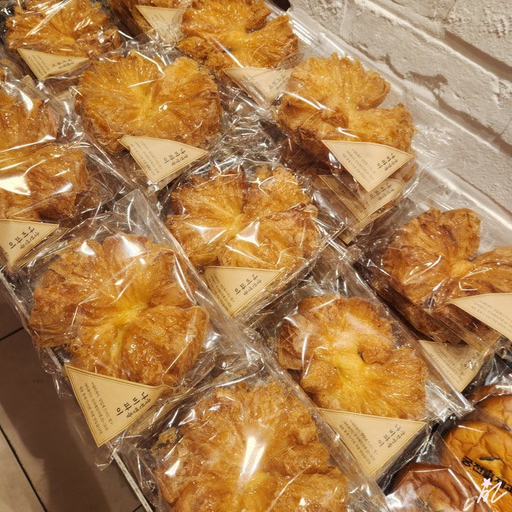  내돈내산 [광주] 궁전제과 충장점 - 공룡알이 유명한 광주 빵집