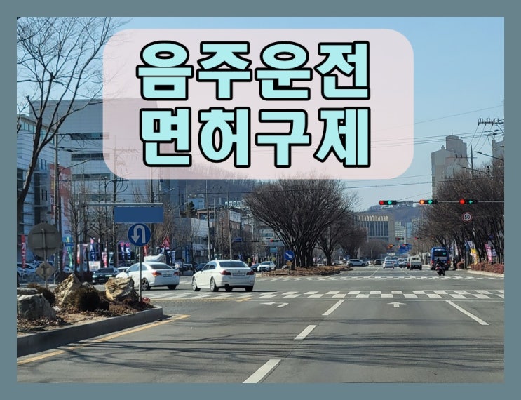  음주운전0.093 수치 알콜 농도 면허 구제 가능 여부