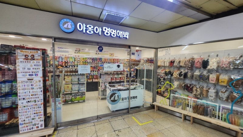 사진 2
