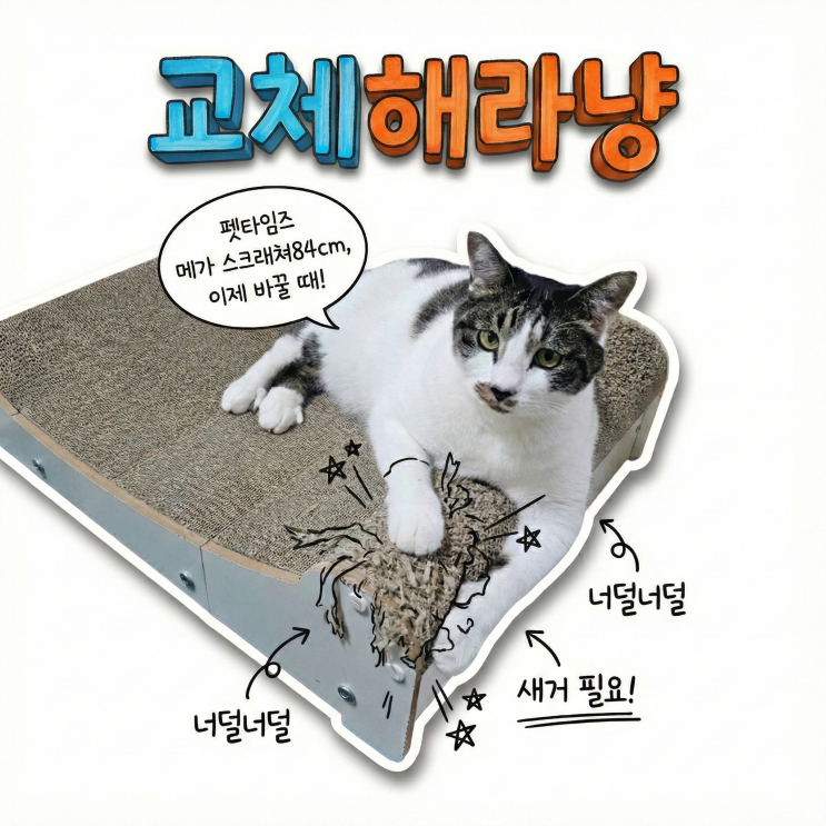  고양이 스크래쳐 리필 펫타임즈 84cm교체 끔추네 강추템 내돈내산