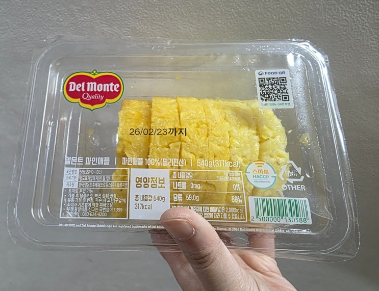  이마트 둔산점 손질 파인애플 후기｜간편하게 즐기기 좋은 과일
