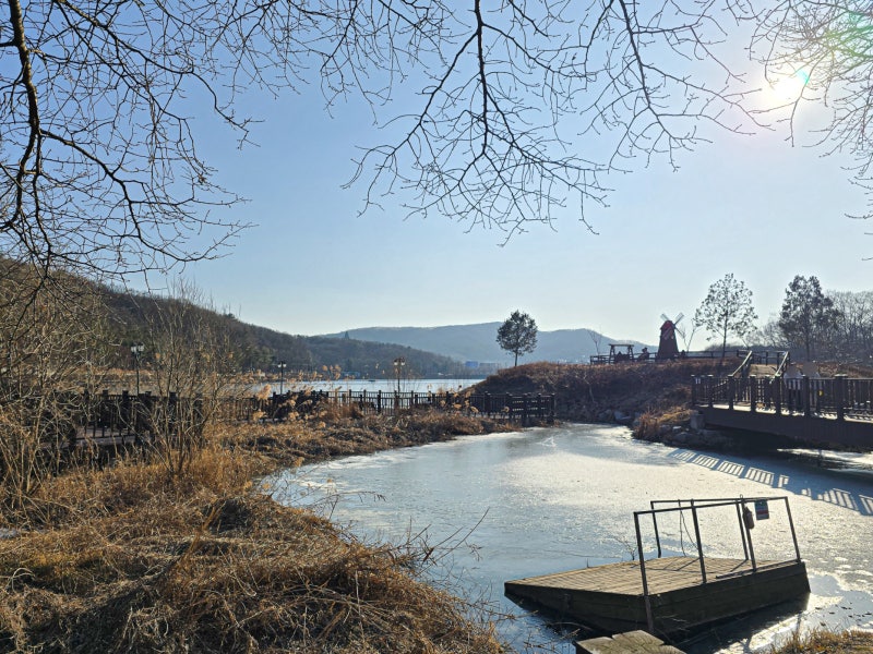 사진 5