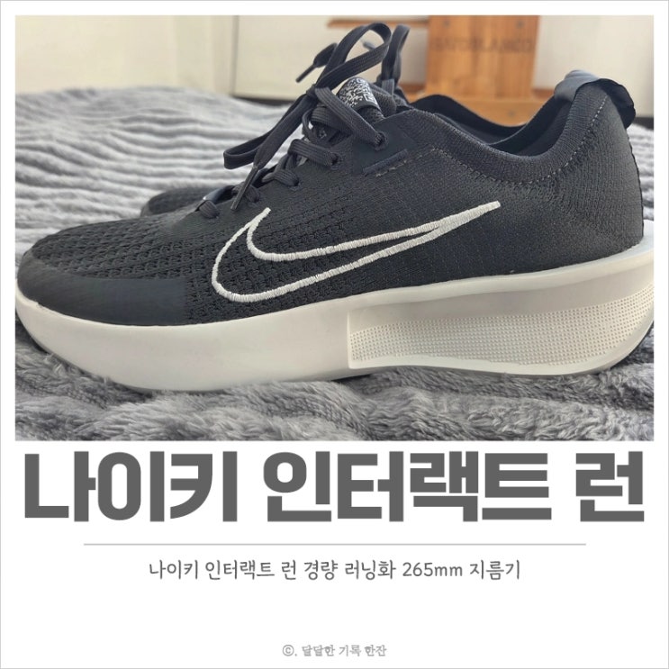  나이키 인터랙트 런 가성비 러닝화 265mm 헬스장에서 신기
