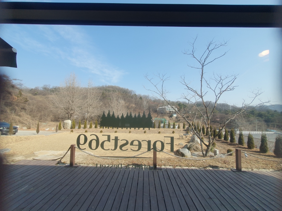 포레스트 사진 5