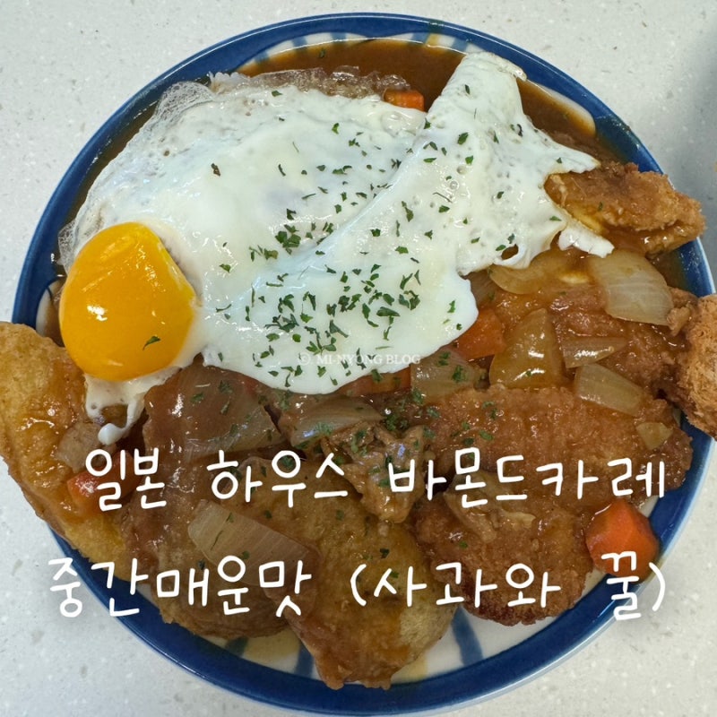 일본 하우스 바몬드카레 중간매운맛 후기 | 일본카레 만들어먹기