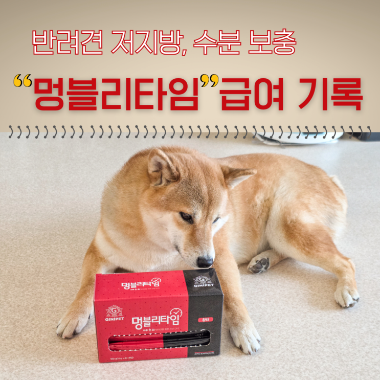  강아지 저지방 간식, 수분 보충까지 챙긴 멍블리타임 급여 기록