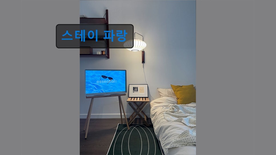 스테이파랑 사진 5