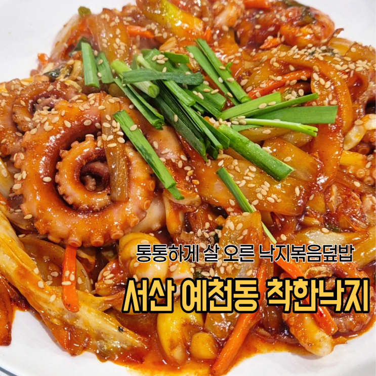  서산예천동맛집 착한낙지 통통한 낙지볶음덮밥 먹고온 후기