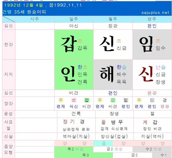 BTS 진 사주로 본 신강한 사주가 역마+복음운 을 좋게 쓰면 일어나는 일