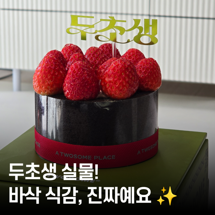  두초생이 뭐길래요? 투썸플레이스 신메뉴로 만나는 두바이 초콜릿 케이크