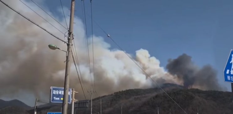  충남 예산 산불 발생, 강풍 때문에 진화가 어렵다