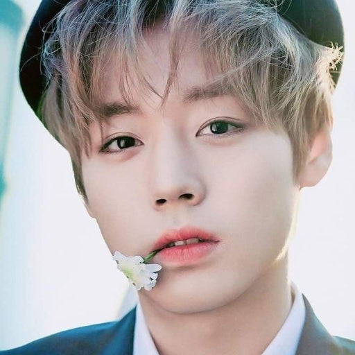 박지훈 사주) 연예 기획사의 멤버구성 사주 신청과 박지훈 사주에 대해