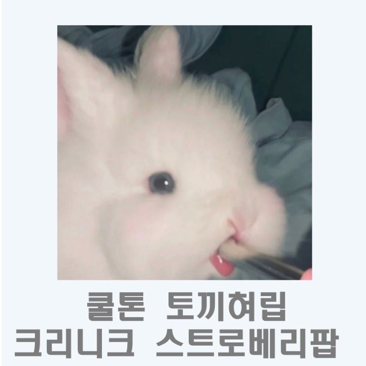  쿨톤립 I 크리니크 팝 플러시 크리미 립글로스 스트로베리팝