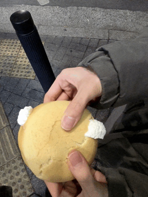  양천구 멜론빵 맛집 카멜리온 베이커리, 정통 메론빵 솔직 리뷰