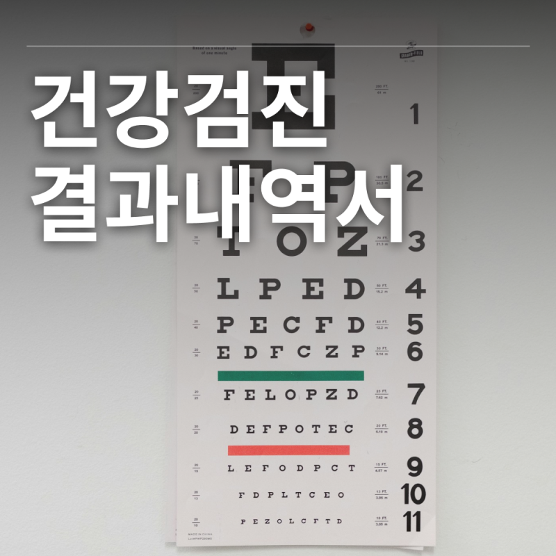 운전면허 갱신 신체검사 대체/건강검진결과내역서 발급 제출방법