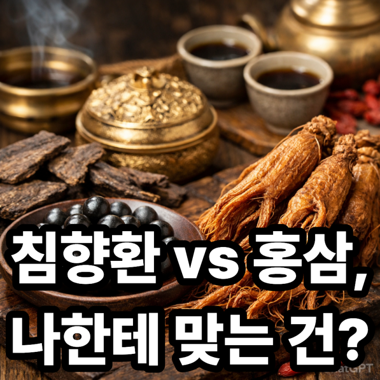  침향환 vs 홍삼  뭐가 다를까? 체질별 선택 가이드
