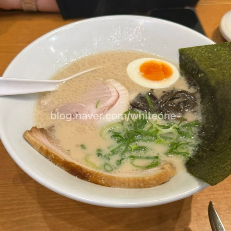  [일본/도쿄/잇푸도] 도쿄 롯폰기 맛집 추천 이치란보다 맛있는 '잇푸도 롯폰기점' 내돈내산 찐후기 