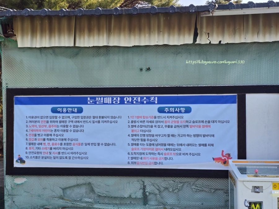 자수정동굴나라 눈썰매장 사진 5