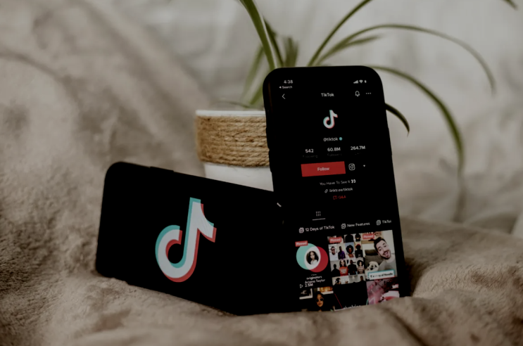  틱톡(TikTok)에서 애플 뮤직(Apple Music) 전곡 듣기 가능해진다 - 애플의 뮤직킷(MusicKit) API 활용 -  음악의 발견에서 감상까지