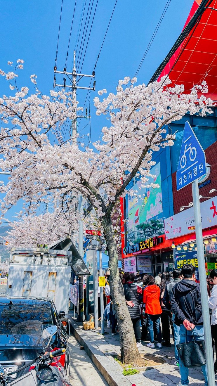  진해탑과 제황산 공원 모노레일카 후기(입장료, 운영시간, 박물관)