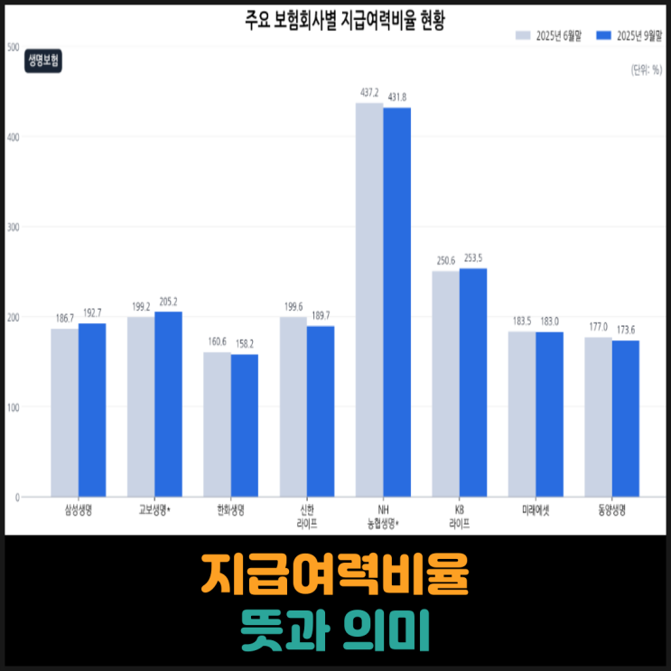  지급여력비율 뜻과 의미