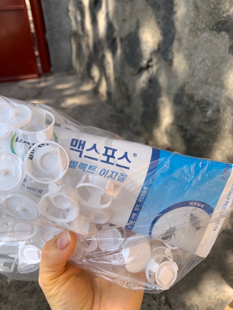 제주주택살이팁 셀프방역 벌레퇴치방법 내돈내산 지네약,바퀴벌레약, 개미약 추천 (맥스포....