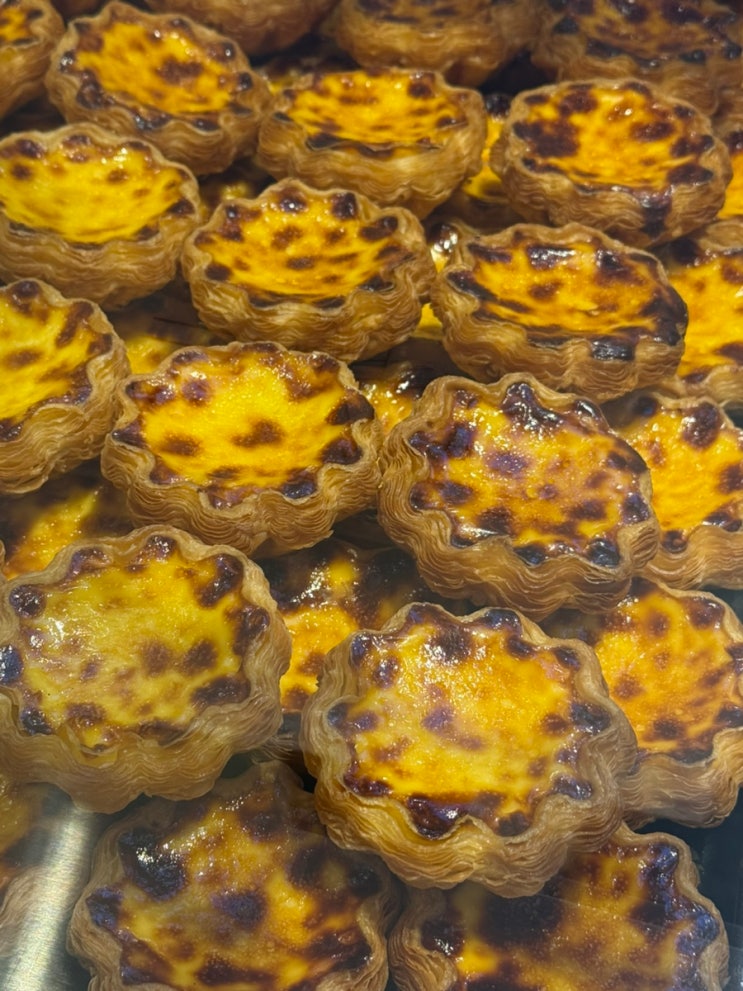  명동 롯데백화점 본점 픽베이크 에그타르트 맛집!
